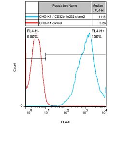 GenScript CHO-K1/CD32B Ile232 Stable Cell Line2vials
