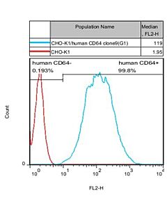 Genscript CHO-K1/CD64 Stable Cell Line