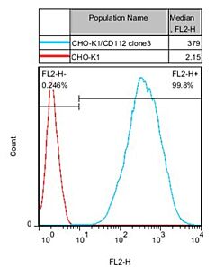 Genscript CHO-K1/CD112 Stable Cell Line