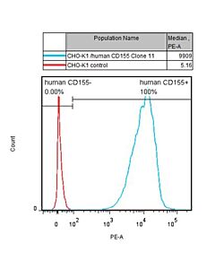 Genscript CHO-K1/CD155 Stable Cell Line
