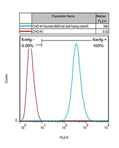 Genscript CHO-K1/BDCA2 and FcER1G Stable Cell Line