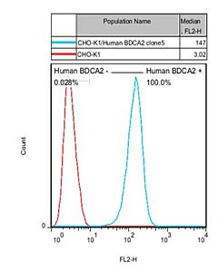 Genscript CHO-K1/BDCA2 Stable Cell Line