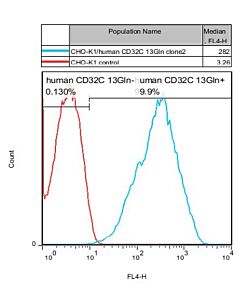 Genscript CHO-K1/CD32C 13Gln Stable Cell Line