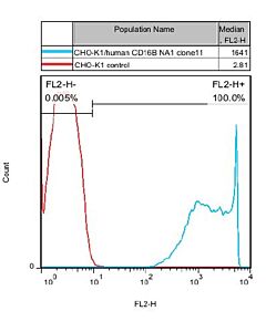 Genscript CHO-K1/CD16B NA1 Stable Cell Line