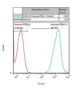 Genscript CHO-K1/PD-L2 Stable Cell Line