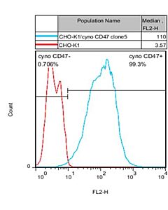 Genscript CHO-K1/Cyno CD47 Stable Cell Line