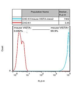 Genscript CHO-K1/Mouse VISTA Stable Cell Line