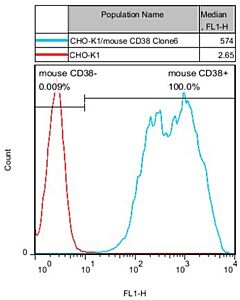 Genscript CHO-K1/mouse CD38 Stable Cell Line