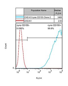 Genscript CHO-K1/cyno CD155 Stable Cell Line