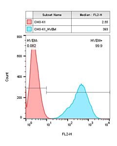 Genscript CHO-K1/HVEM Stable Cell Line