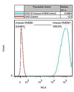 Genscript CHO-K1/mouse HVEM Stable Cell Line