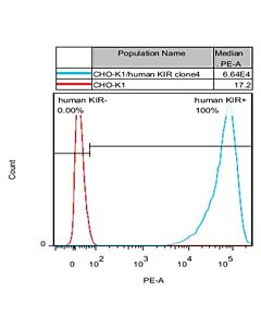 Genscript CHO-K1/KIR Stable Cell Line
