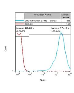 Genscript CHO-K1/B7-H2 Stable Cell Line