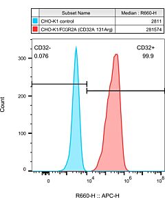 GenScript CHO-K1/CD32A 131Arg Stable Cell Line2vials