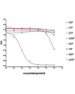 Genscript cAMP-HRP