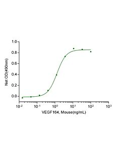 Genscript VEGF164, Mouse (P. pastoris-expressed)