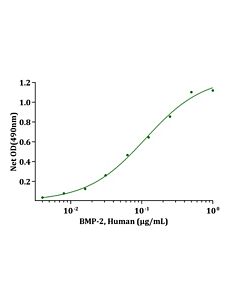 Genscript BMP-2, Human