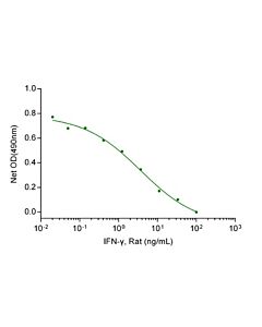Genscript IFN-γ, Rat (CHO-expressed)