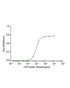 Genscript FGF-acidic, Mouse