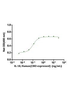 Genscript IL-10, Human(CHO-expressed)