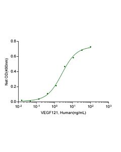Genscript VEGF121, Human