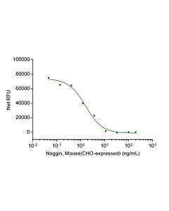Genscript Noggin, Mouse(CHO-expressed)