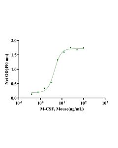 Genscript M-CSF, Mouse