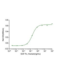 Genscript EGF Fc Chimera, Human