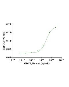 Genscript GDNF, Human