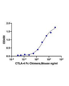 Genscript CTLA-4 Fc Chimera, Mouse