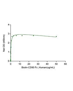 Genscript CD28 Fc Chimera, Human
