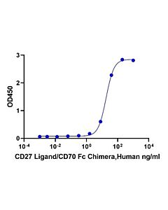 Genscript CD27 Ligand/CD70 Fc Chimera, Human