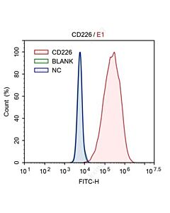 Genscript DNAM-1/CD226, His, Human