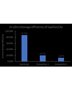 Genscript GenCRISPR™ Cas13a (C2c2) Nuclease