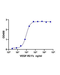 Genscript VEGF-R2 Fc Chimera, Mouse