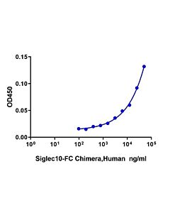 Genscript Siglec-10 Fc Chimera, Human