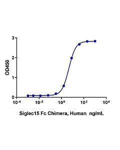 Genscript Siglec-15 Fc Chimera, Human