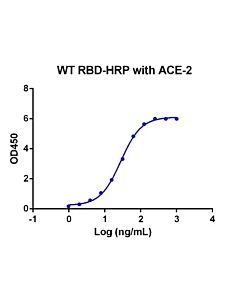 Genscript SARS-CoV-2 Spike protein (RBD, Avi & His Tag)-HRP