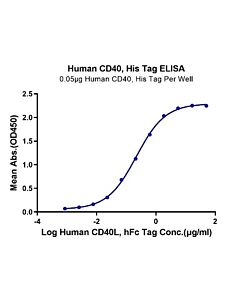 Genscript CD40, His, Human