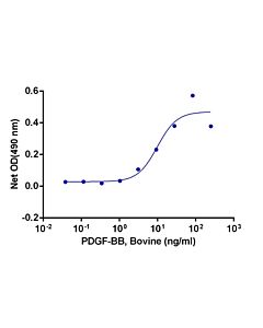 Genscript PDGF-BB, Bovine