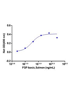 Genscript FGF-basic, Salmon