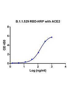 GenScript SARS-CoV-2 Spike protein RBD-HRP, Omicron Variant, His Tag20ul