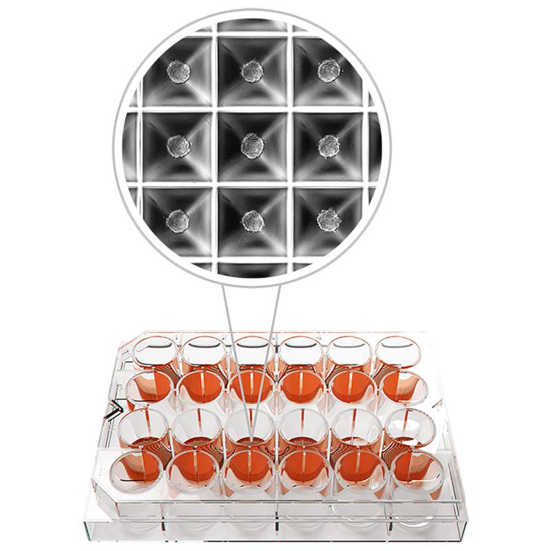 Heidolph 3D Cell Culture Plates