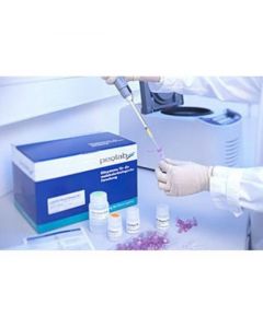IBI Scientific Mini I-Blue Plasmid Kit 100 Prep Kit