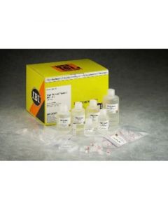 IBI Scientific Midi I-Blue Plasmid Kit 2 Prep Sample Kit