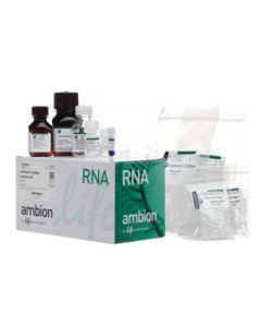 IBI Scientific Mini Total Rna Kit-Tissue 300 Prep Kit