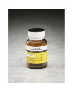 IBI Scientific Iptg-25gm (Fr)