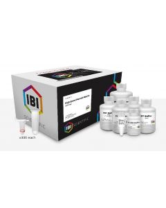 IBI Scientific Mini Hi-Speed Plasmid Kit 300 Prep Kit