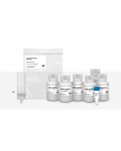 IBI Scientific Maxi Fast-Ion Plasmid Kit 2 Prep Kit