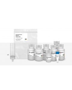 IBI Scientific Maxi Fast-Ion Plasmid Kit Endotoxin Free - 2 Prep Kit